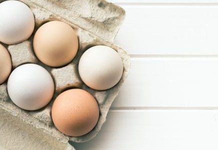 Olahan Telur Praktis