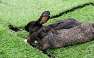 Tempat Inspiratif bagi Ibu Rumah Tangga