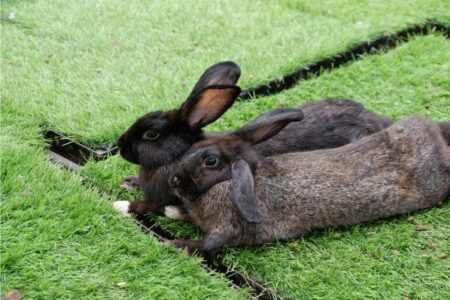 Tempat Inspiratif bagi Ibu Rumah Tangga